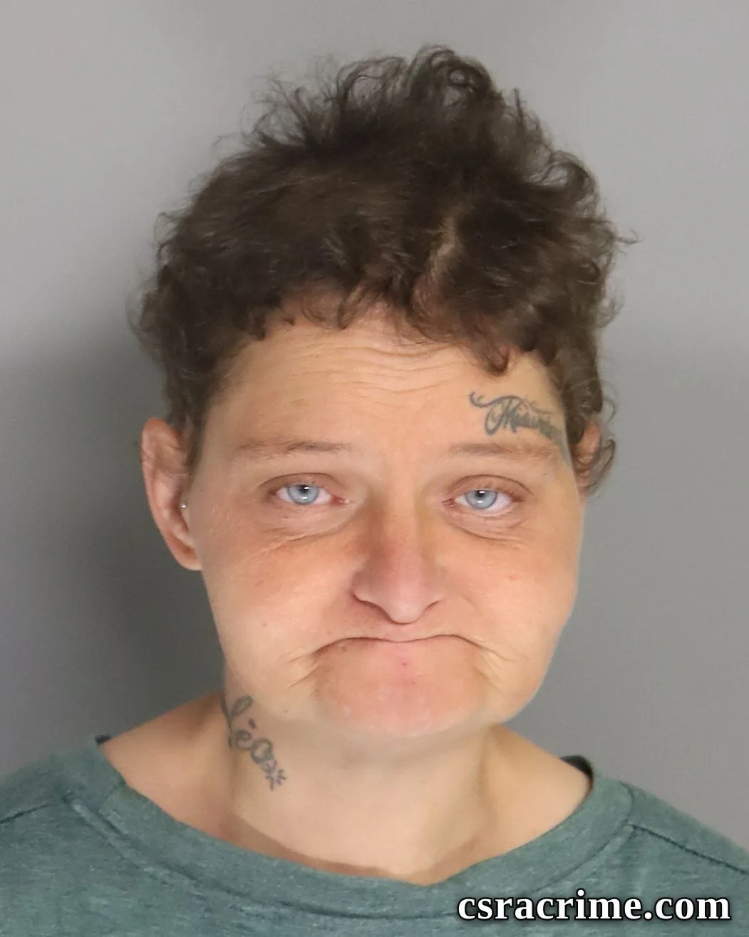 Linda Butler booking photo