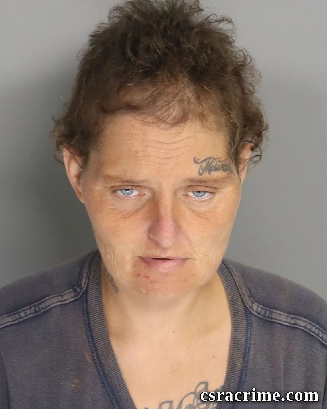 Linda Butler booking photo