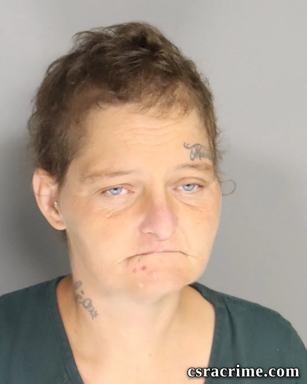 Linda Butler booking photo