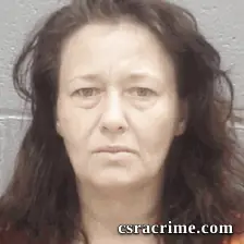 Linda Dannheim booking photo