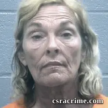 Linda Niederhofer booking photo