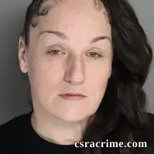 Lindsay Johnson booking photo