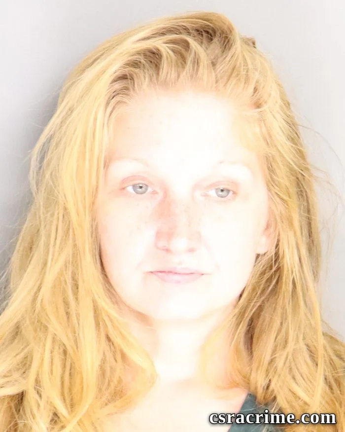 Lindsey Brown booking photo