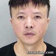 Ling Li booking photo