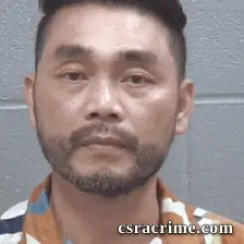 Linh Vu booking photo