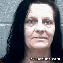 Lisa Anderson booking photo