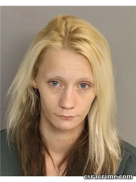 Lisa Boatwright booking photo