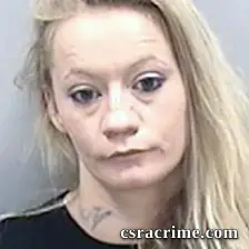 Lisa Boatwright booking photo