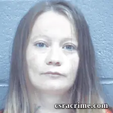 Lisa Boatwright booking photo