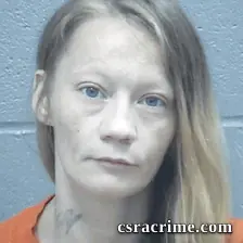 Lisa Boatwright booking photo