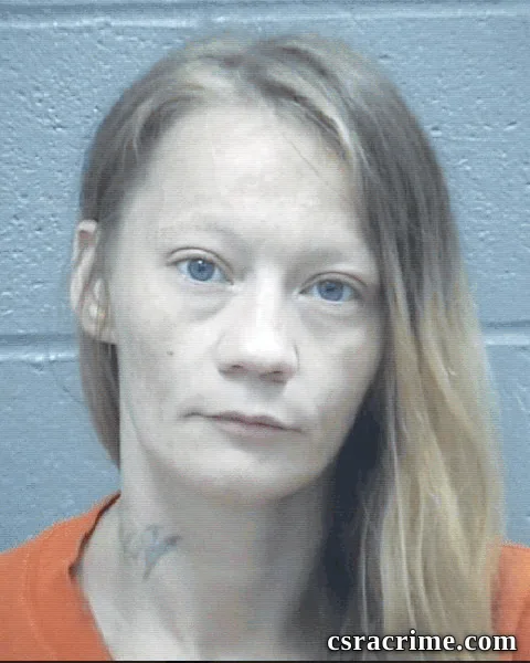 Lisa Boatwright booking photo