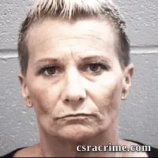Lisa Daniel booking photo