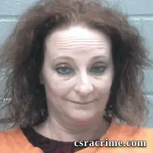 Lisa Free booking photo