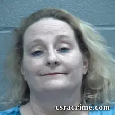 Lisa Free booking photo