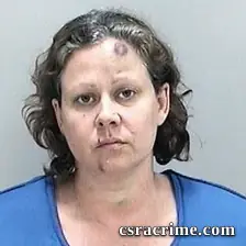 Lisa Gill booking photo