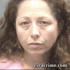 Lisa Johnson booking photo
