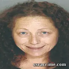 Lisa Johnson booking photo