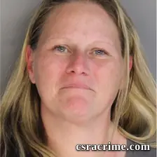 Lisa Levens booking photo