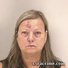Lisa Maria Williams booking photo