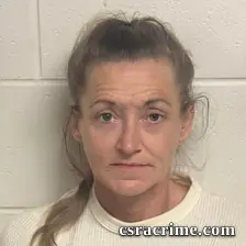 Lisa Michelle Haley booking photo