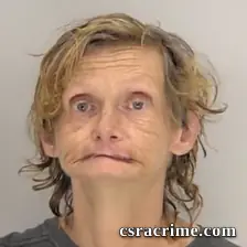 Lisa Michelle Vaughn booking photo