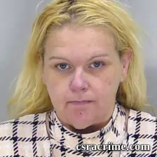 Lisa Preachersstrickland booking photo
