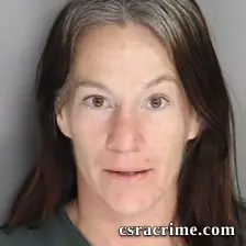 Lisa Reno booking photo