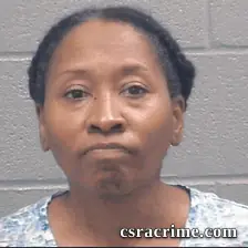 Lisa Robinson booking photo