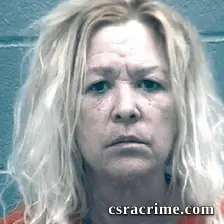 Lisa Rudolph booking photo
