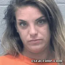 Lisa Schaffer booking photo