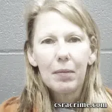 Lisa Schommer booking photo