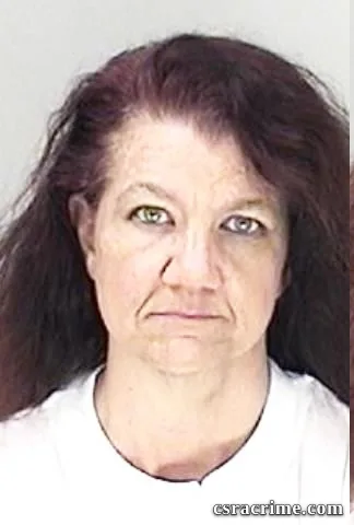 Lisa Smith booking photo