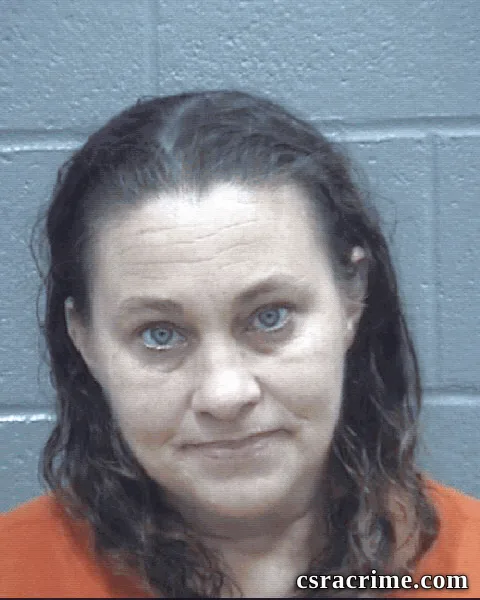 Lisa Smith booking photo