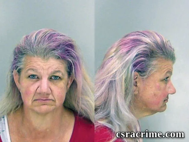 Lisa Smith booking photo