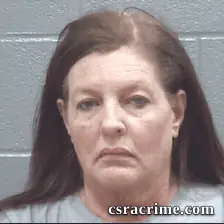 Lisa Springer booking photo