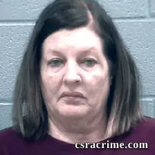 Lisa Springer booking photo