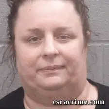 Lisa Wells booking photo