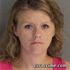 Lisa Williamson booking photo