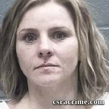 Lisha Ramirez booking photo