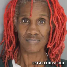 Lisha Williams booking photo