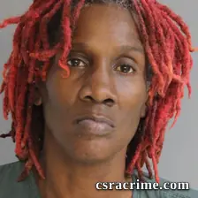 Lisha Williams booking photo