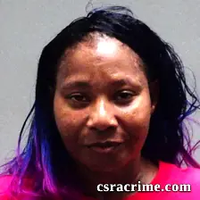 Liza Michelle Ford booking photo