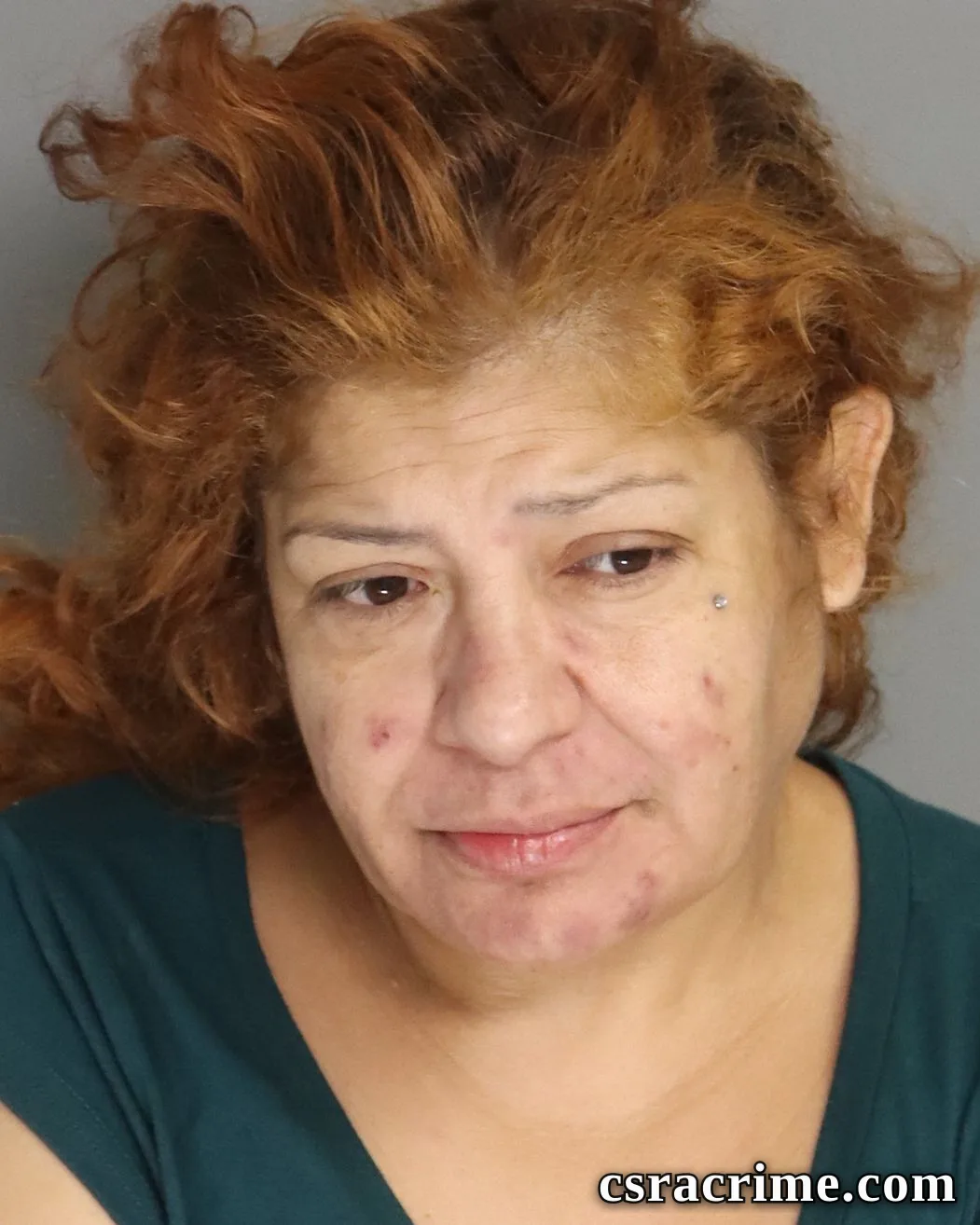 Lizeth Perez booking photo