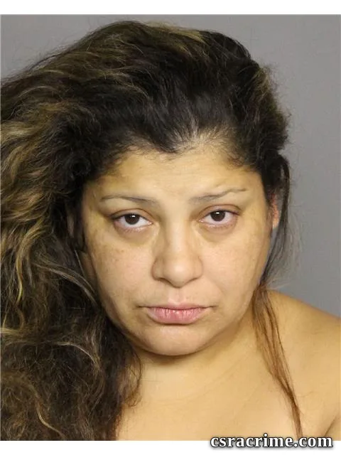 Lizeth Perez booking photo