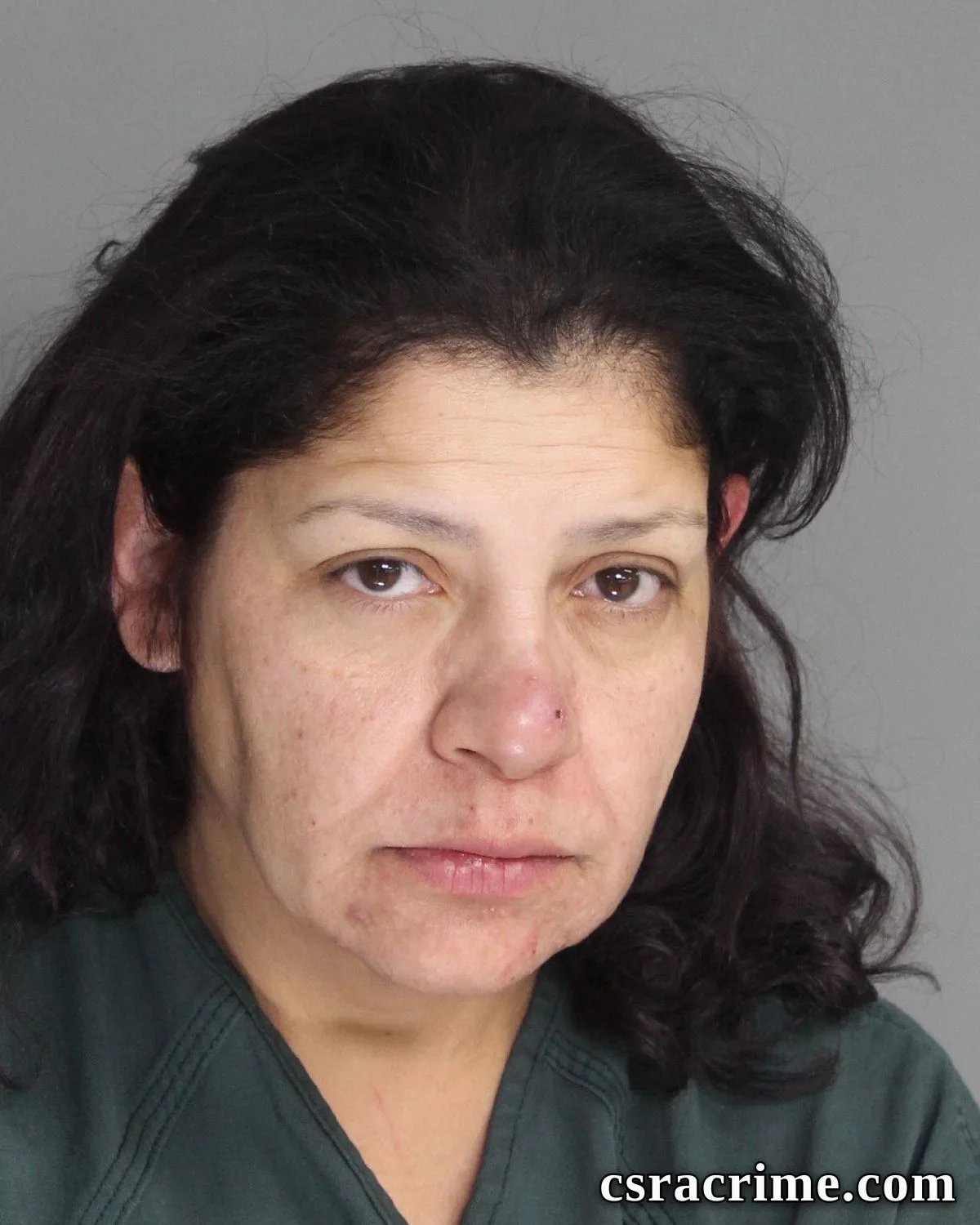 Lizeth Perez booking photo