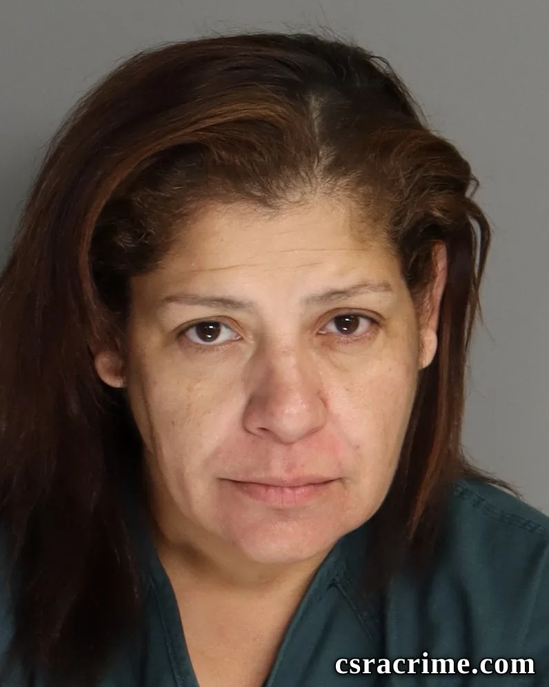 Lizeth Perez booking photo