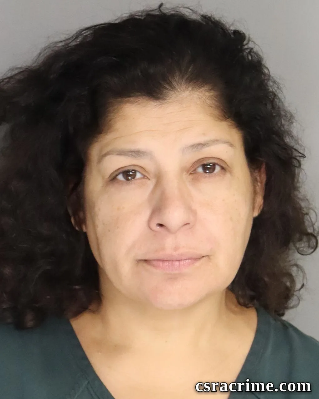 Lizeth Perez booking photo