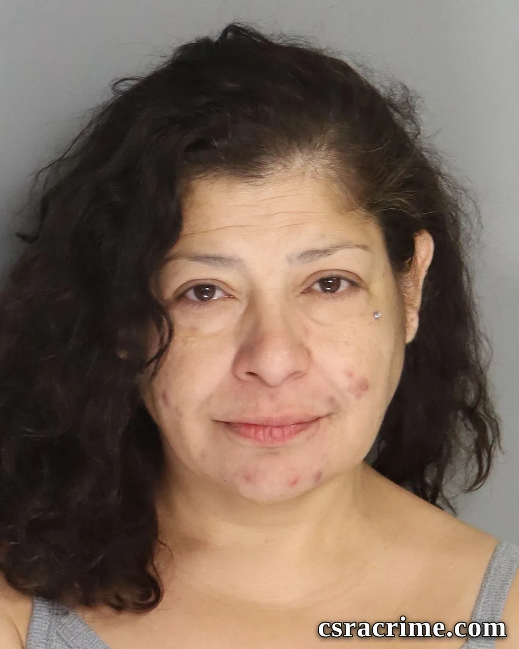 Lizeth Perez booking photo