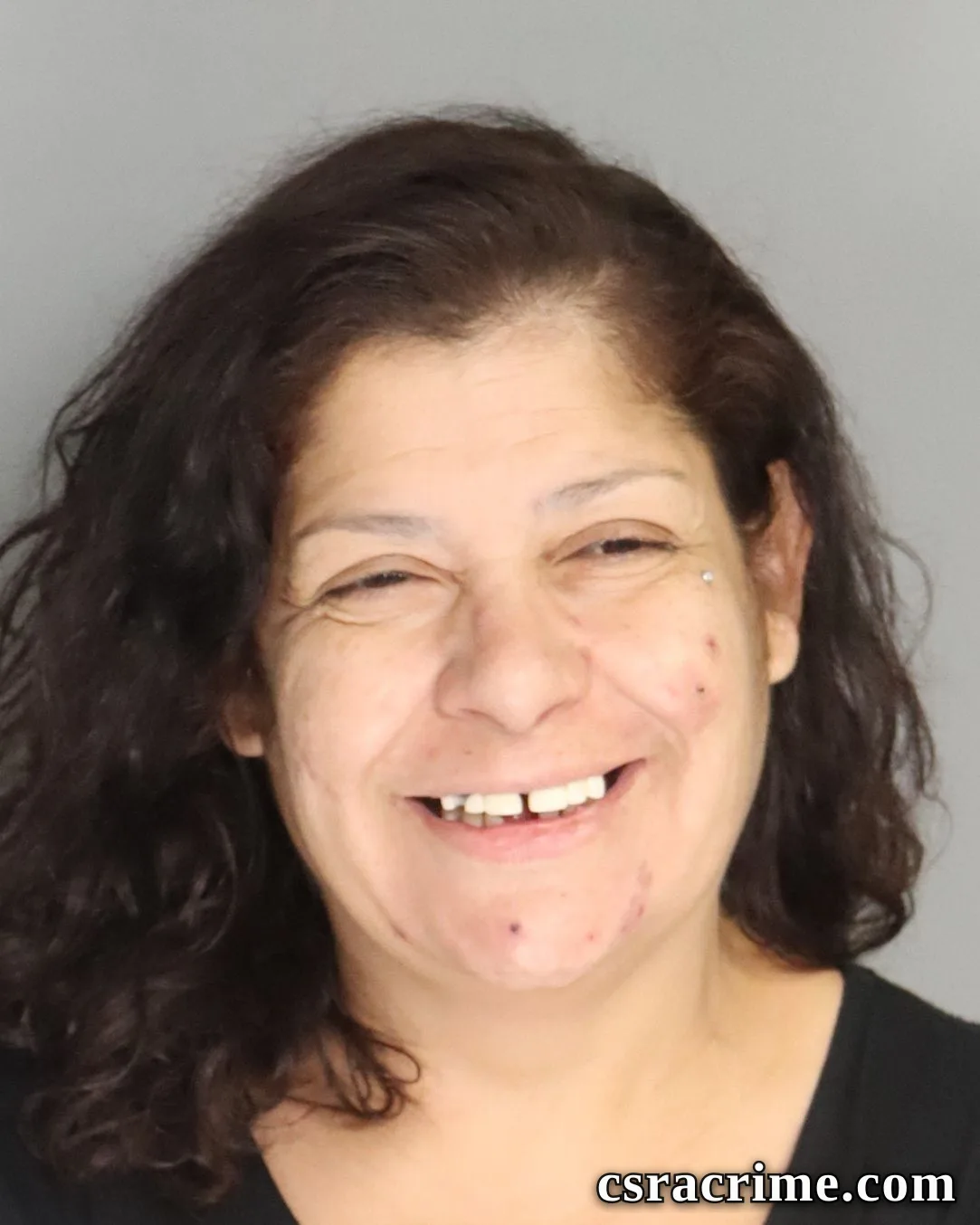 Lizeth Perez booking photo