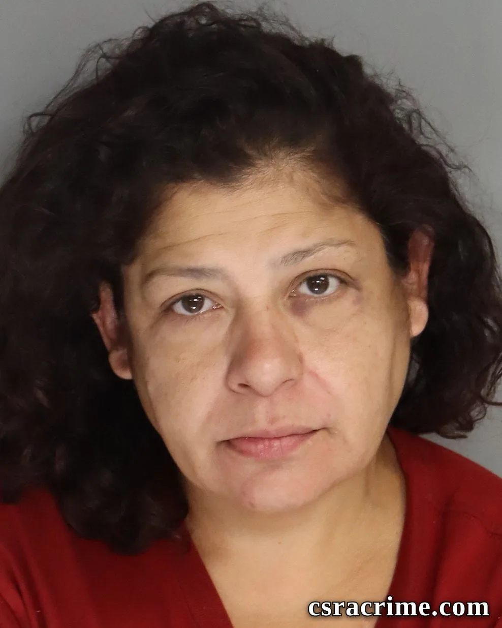 Lizeth Perez booking photo